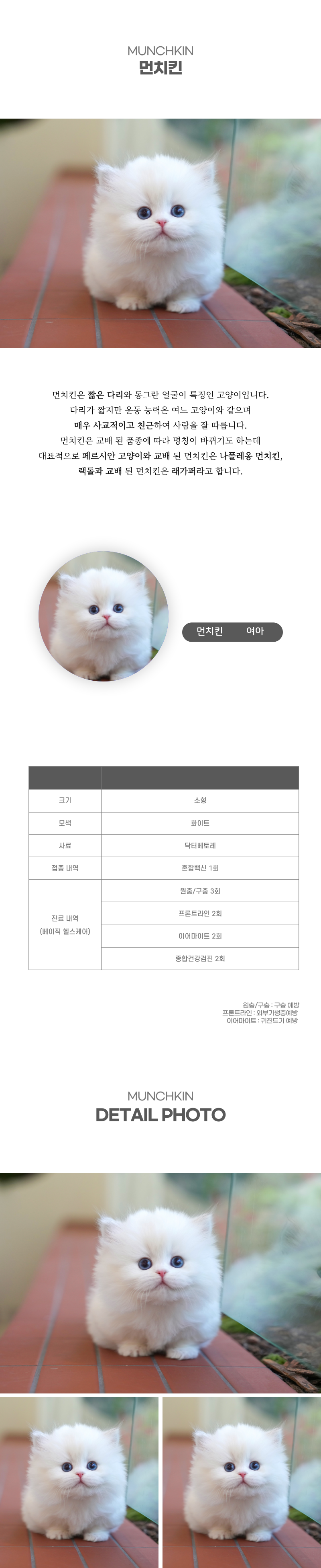 먼치킨_상세이미지_2